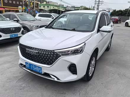 Фото 1 - Haval M6