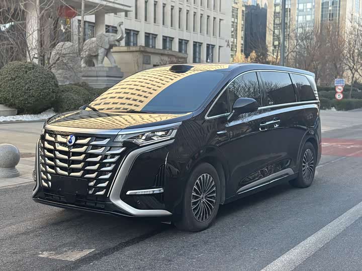 Фото 1 - Denza D9