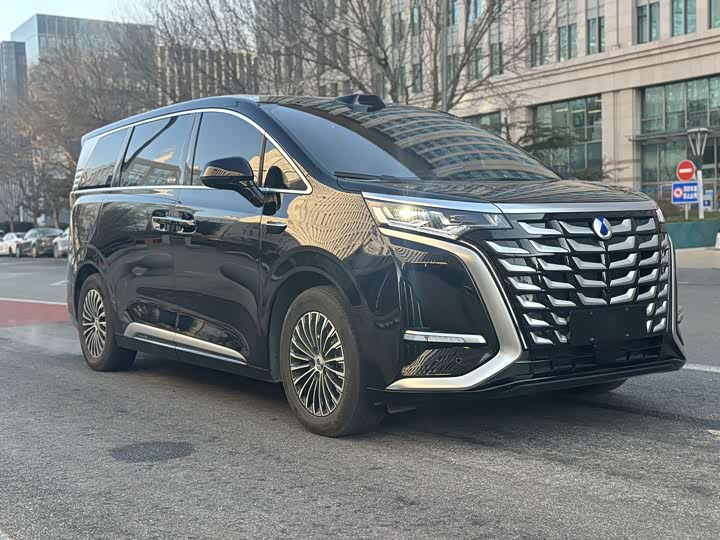 Фото 2 - Denza D9