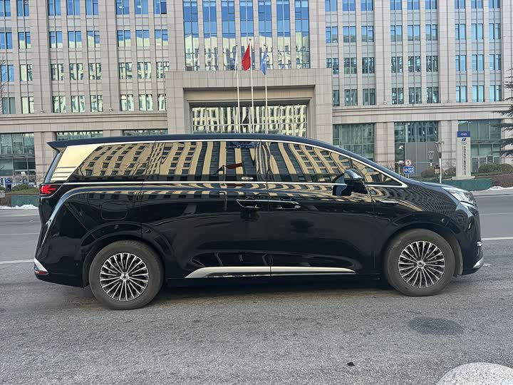 Фото 3 - Denza D9