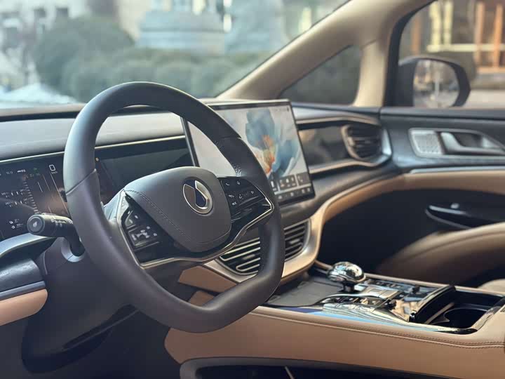 Фото 4 - Denza D9