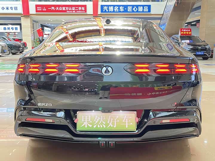 Фото 7 - Denza Z9