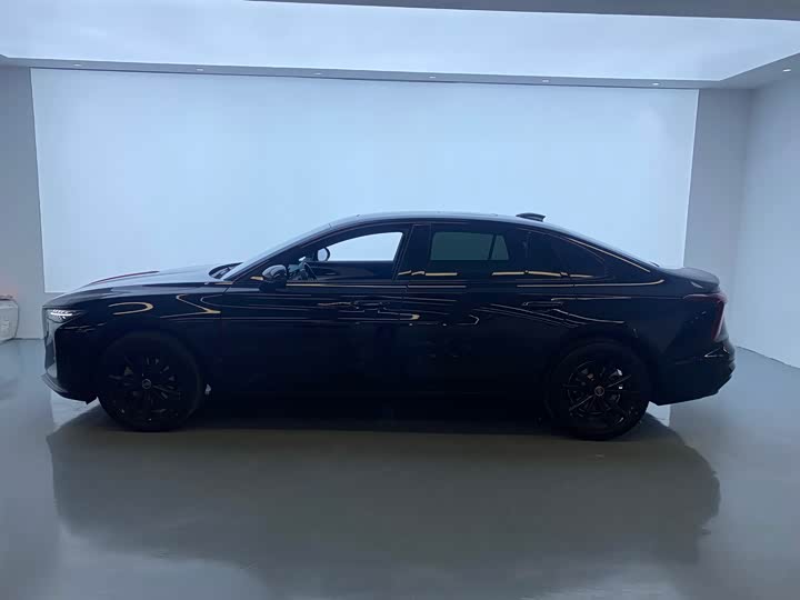 Фото 4 - Hongqi H5