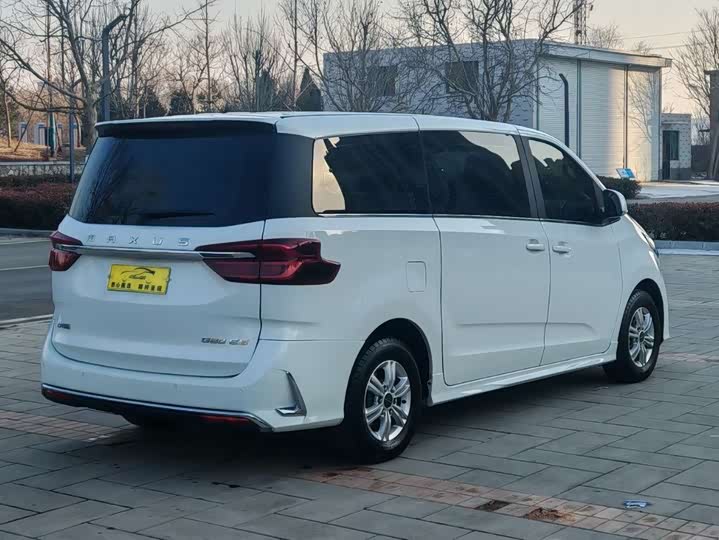 Фото 4 - Maxus G20