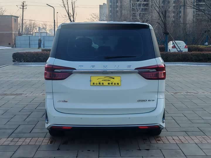 Фото 5 - Maxus G20