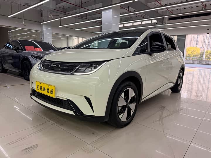 Фото 1 - BYD Dolphin