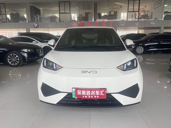 Фото 2 - BYD Seagull