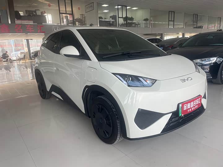 Фото 3 - BYD Seagull