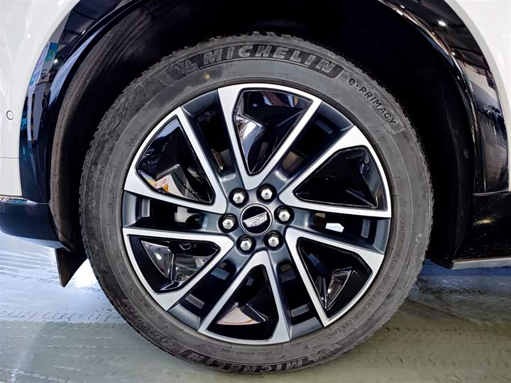 Фото 7 - Cadillac Optiq