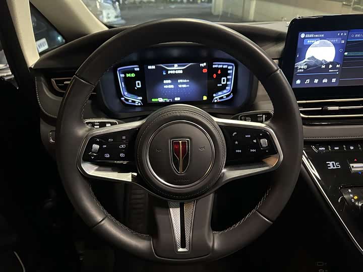 Фото 6 - Hongqi HQ9