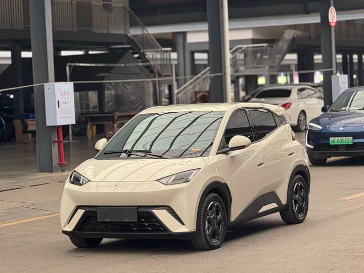 Фото 1 - BYD Seagull