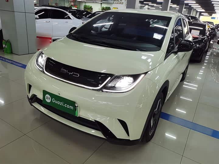 Фото 2 - BYD Dolphin