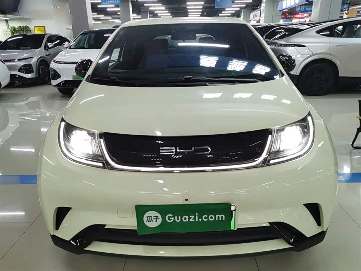 Фото 3 - BYD Dolphin