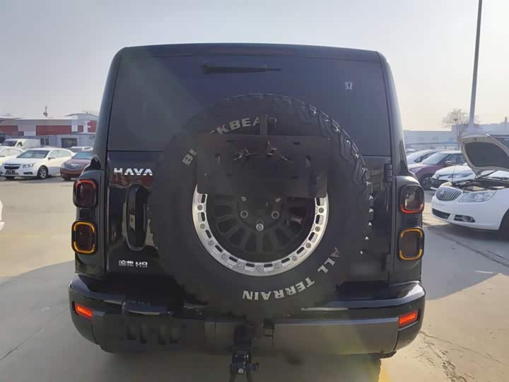 Фото 6 - Haval H9