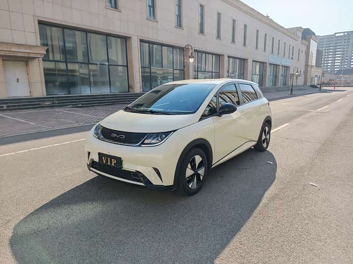 Фото 1 - BYD Dolphin