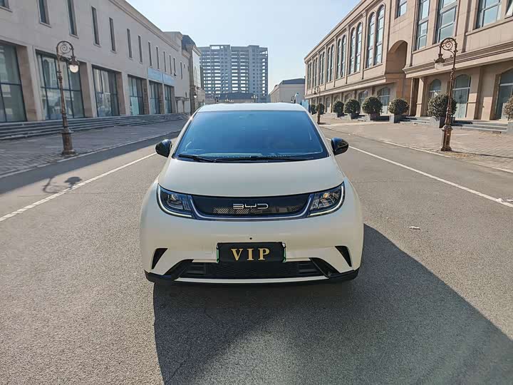 Фото 2 - BYD Dolphin