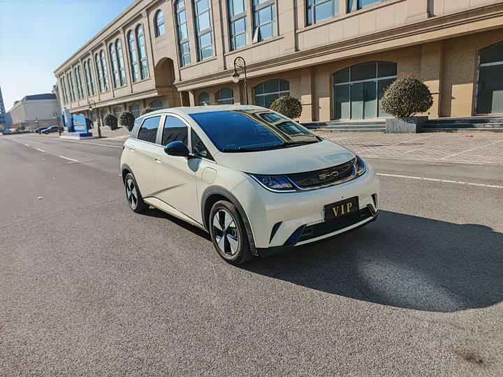 Фото 3 - BYD Dolphin