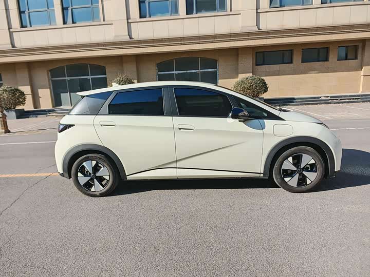 Фото 4 - BYD Dolphin