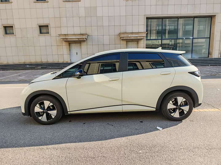 Фото 5 - BYD Dolphin