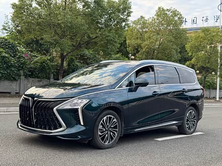 Фото 1 - Dongfeng Forthing Yacht