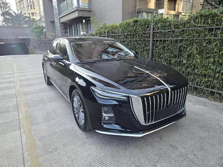 Фото 3 - Hongqi H5