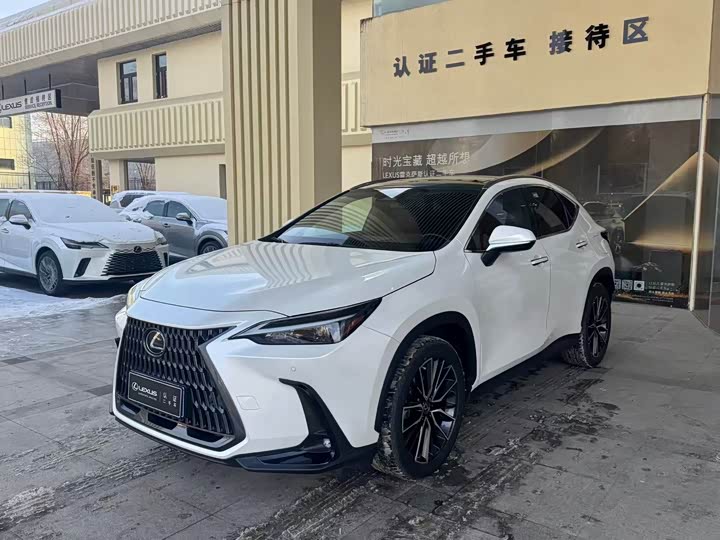 Фото 1 - Lexus NX
