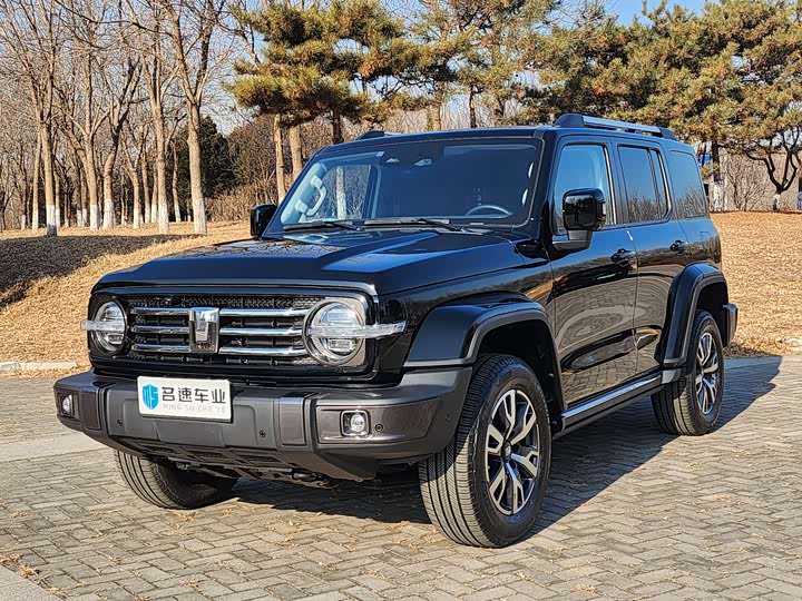 Фото 1 - Tank 300