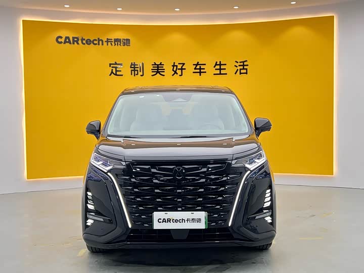 Фото 2 - Denza D9