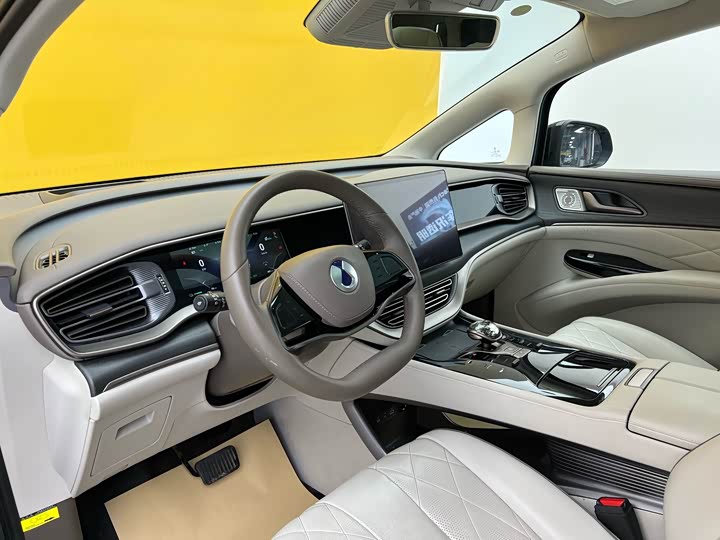 Фото 3 - Denza D9