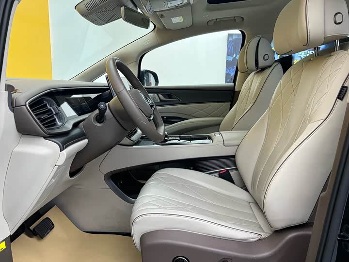 Фото 6 - Denza D9