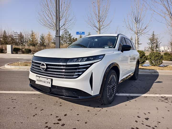 Фото 1 - Nissan Pathfinder