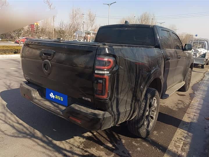 Фото 3 - Great Wall Pao