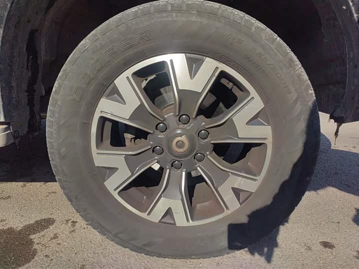 Фото 6 - Great Wall Pao