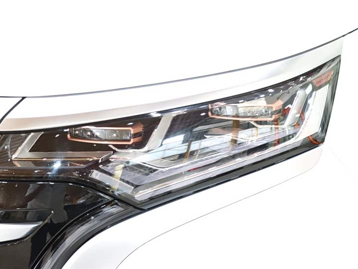 Фото 7 - Denza D9