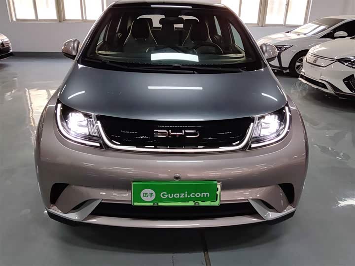 Фото 3 - BYD Dolphin