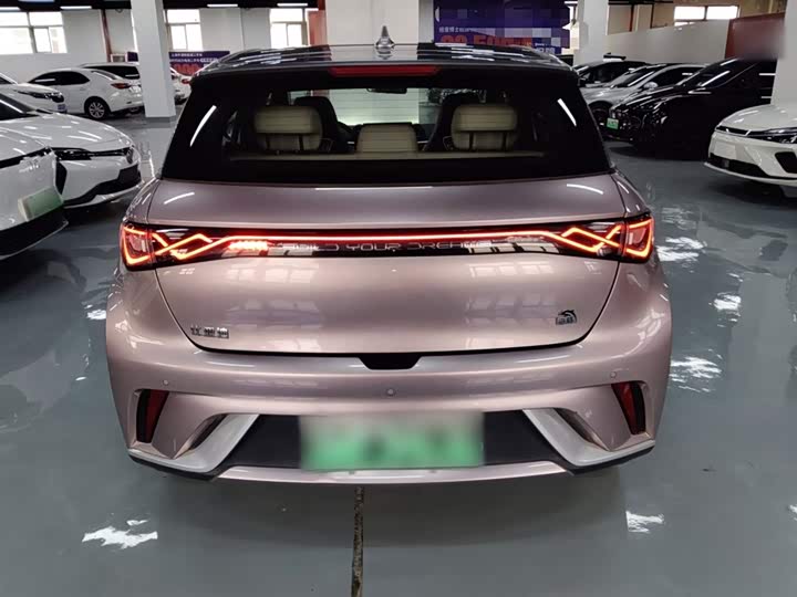 Фото 6 - BYD Dolphin