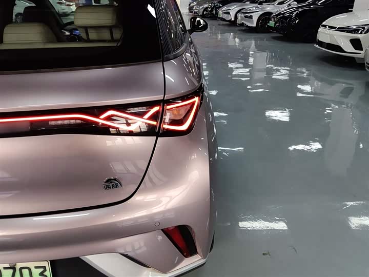 Фото 8 - BYD Dolphin