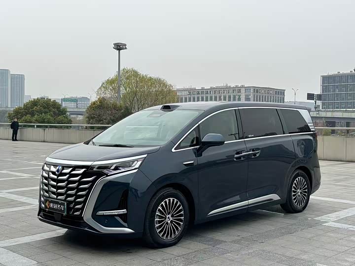 Фото 1 - Denza D9