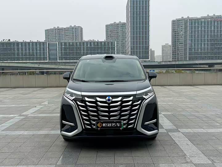 Фото 2 - Denza D9