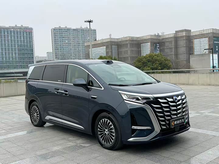 Фото 3 - Denza D9