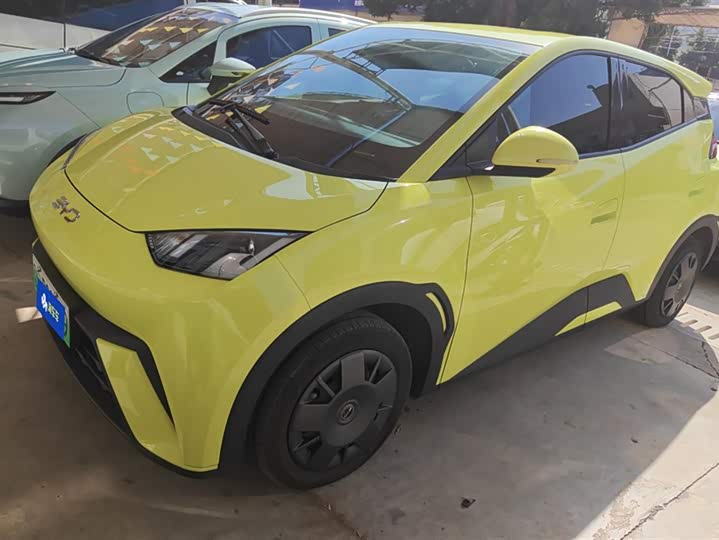 Фото 1 - BYD Seagull