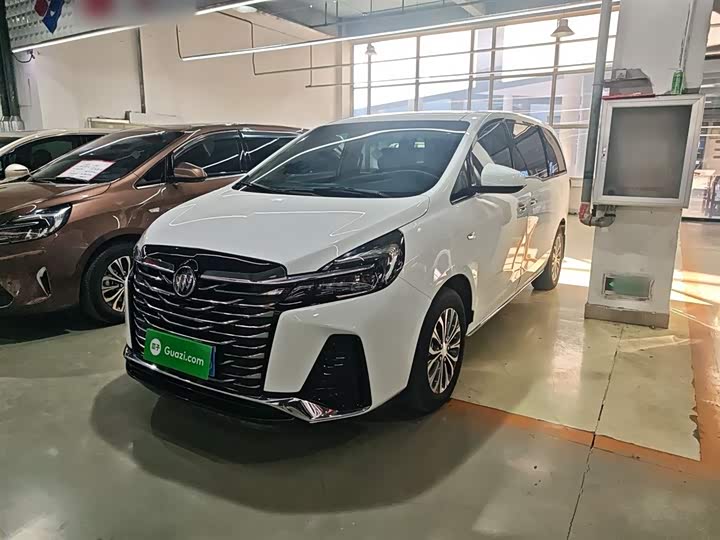 Фото 1 - Buick GL8 ES