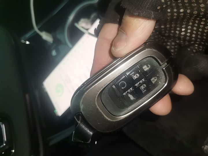 Фото 9 - Honda Elysion