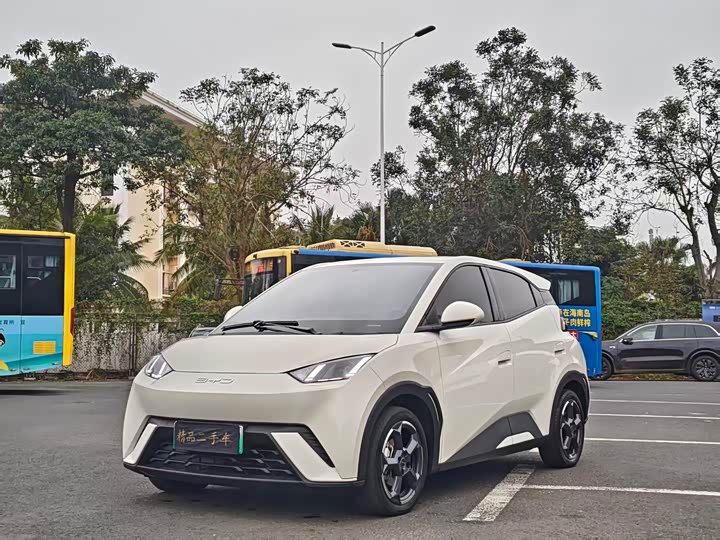 Фото 1 - BYD Seagull