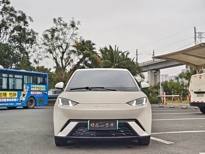 Фото 2 - BYD Seagull