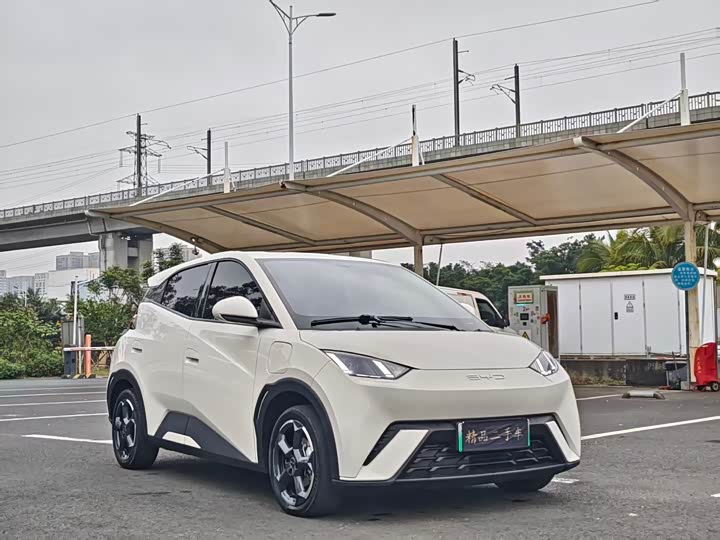 Фото 3 - BYD Seagull