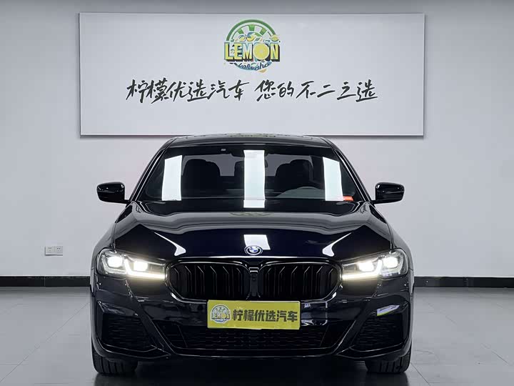 Фото 2 - BMW 5 Series Hybrid