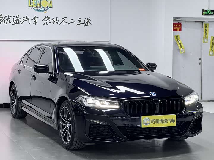 Фото 3 - BMW 5 Series Hybrid