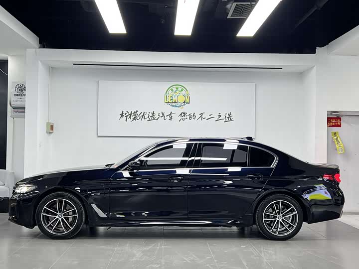 Фото 4 - BMW 5 Series Hybrid