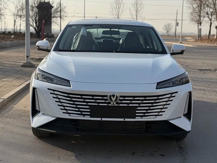 Фото 2 - Changan Eado Plus